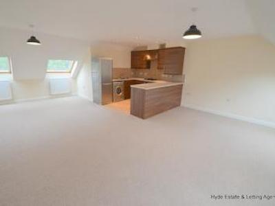 Annonce Location Appartement Bolton