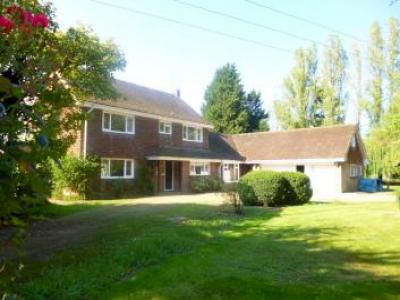 Annonce Location Maison Hatfield