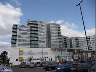 Annonce Location Appartement Hounslow