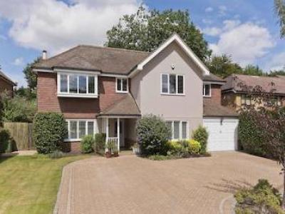 Annonce Location Maison Walton-on-thames