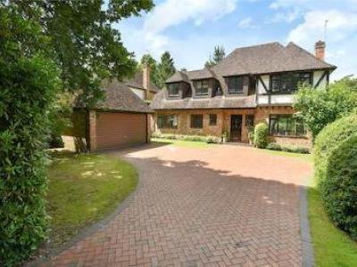 Annonce Vente Maison Crowthorne