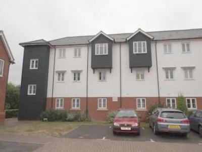 Annonce Location Appartement Colchester