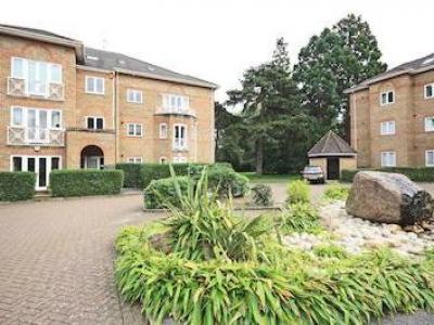 Annonce Location Appartement Teddington