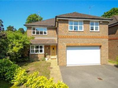 Annonce Vente Maison Camberley