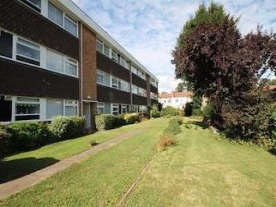 Annonce Location Appartement Ilford