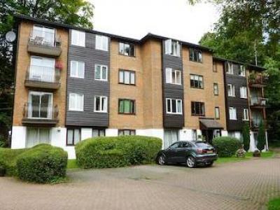 Annonce Location Appartement Croydon