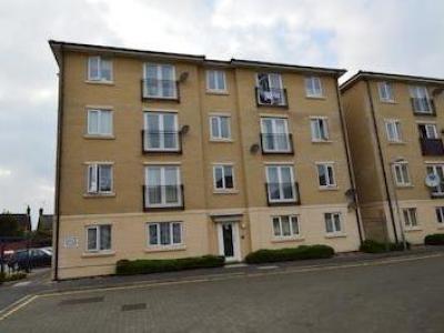 Annonce Location Appartement Ipswich