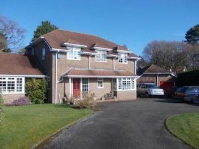 Annonce Location Maison Brockenhurst