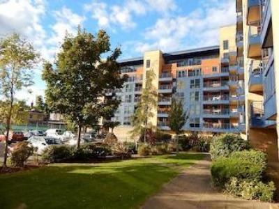 Annonce Location Appartement Southampton