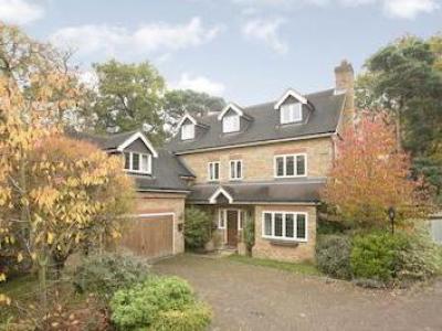 Annonce Location Maison Walton-on-thames