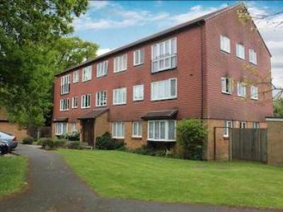 Annonce Location Appartement Woking