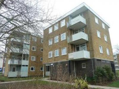 Annonce Location Appartement Southampton