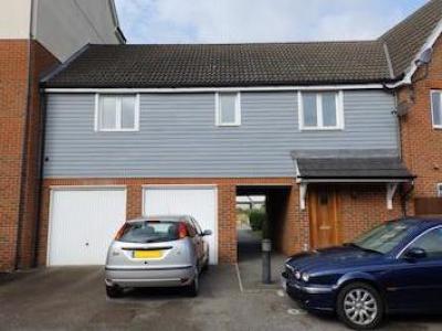 Annonce Location Appartement Ipswich