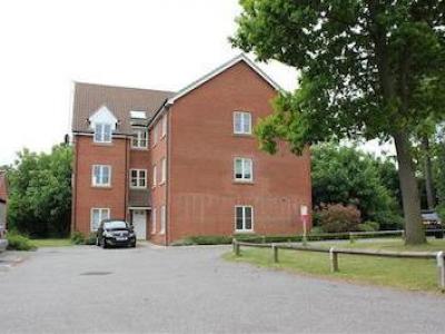 Annonce Location Appartement Ipswich