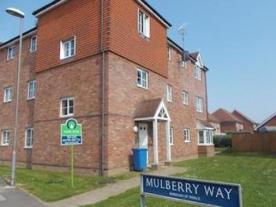 Annonce Location Appartement Sittingbourne