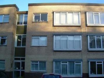 Annonce Location Appartement Swansea