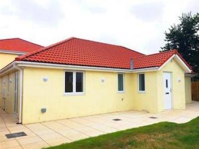 Annonce Location Maison Paignton