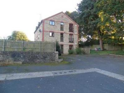 Annonce Location Appartement Belper