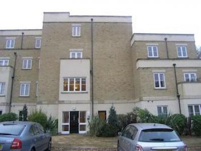 Annonce Location Appartement Southampton