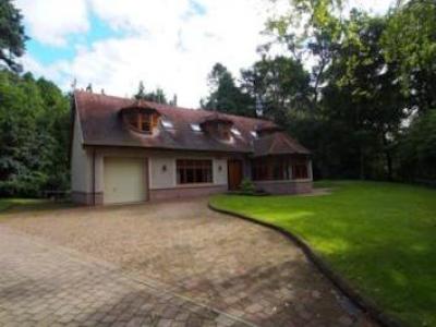 Annonce Location Maison Aberdeen