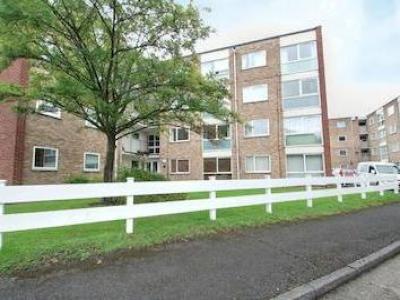 Annonce Location Appartement Enfield