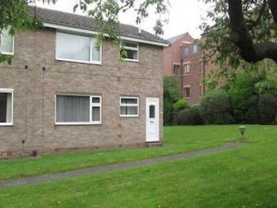 Annonce Location Appartement Rotherham