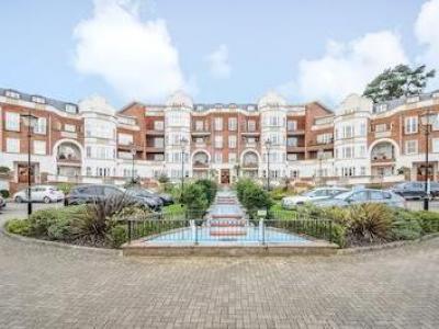 Annonce Location Appartement Ascot