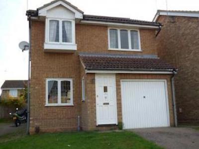 Annonce Location Maison Ipswich