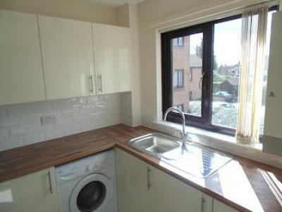 Annonce Location Appartement Norwich