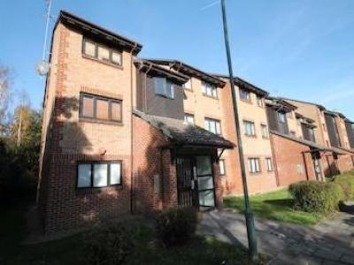 Annonce Location Appartement Erith