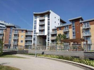 Annonce Location Appartement Bracknell