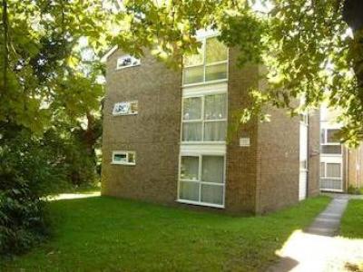 Annonce Location Appartement Enfield