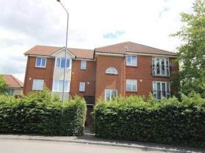 Annonce Location Appartement Bristol