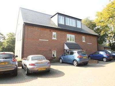 Annonce Location Appartement Berkhamsted