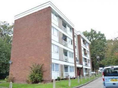 Annonce Location Appartement St-albans