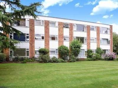 Annonce Location Appartement Woking