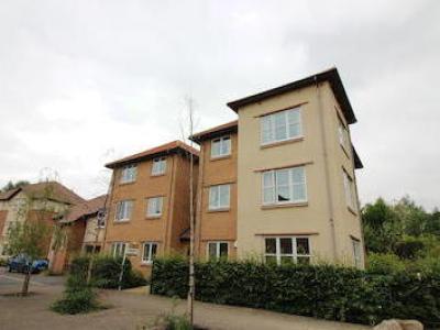 Annonce Location Appartement Darlington