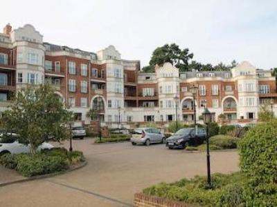 Annonce Location Appartement Ascot