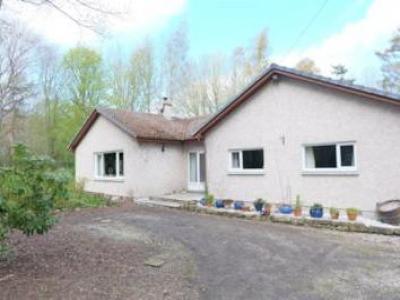 Annonce Location Maison Tain