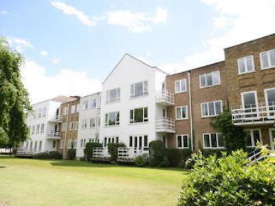 Annonce Location Appartement Maidenhead