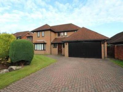 Annonce Location Maison Newcastle-upon-tyne