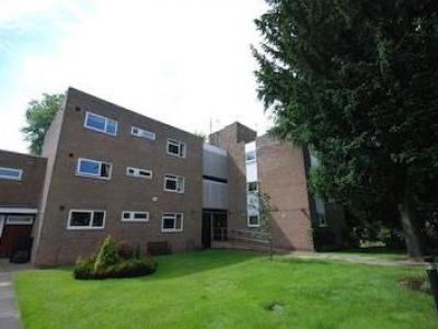 Annonce Location Appartement Newcastle-upon-tyne