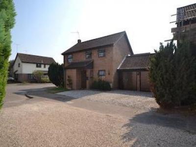 Annonce Location Maison Chelmsford