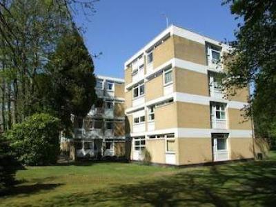 Annonce Location Appartement Woking