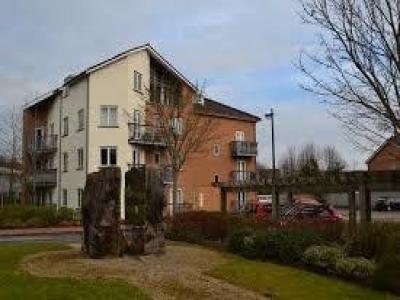 Annonce Location Appartement Cardiff