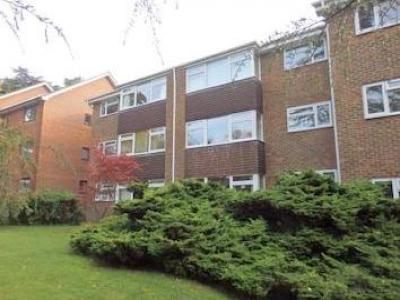 Annonce Location Appartement Reigate