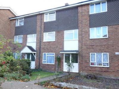 Annonce Location Maison Hatfield