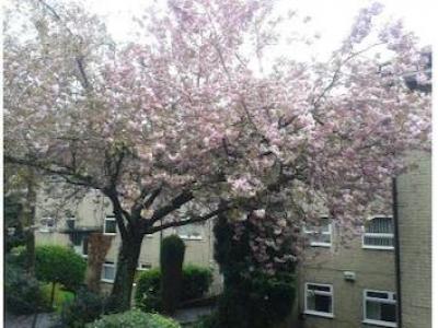 Louer Appartement Manchester