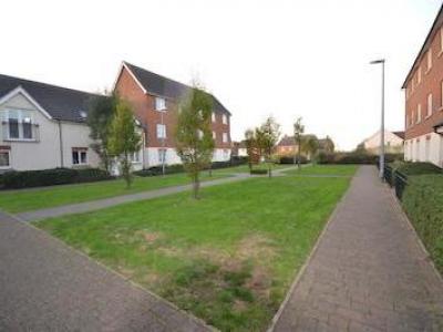 Annonce Location Maison Chelmsford