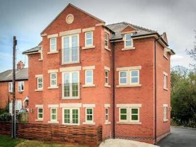 Annonce Location Appartement Belper